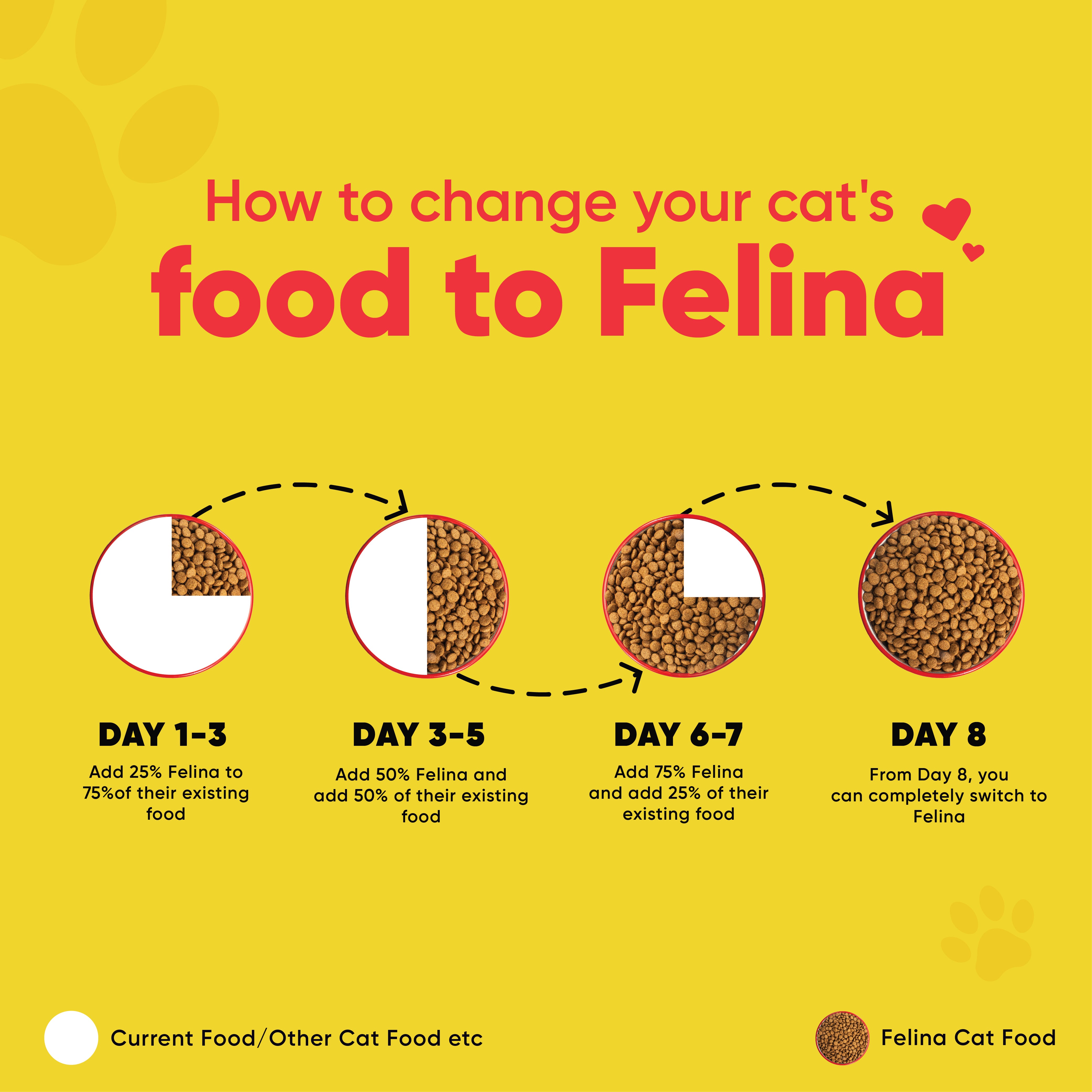 Felina Kitten - Ocean Fish