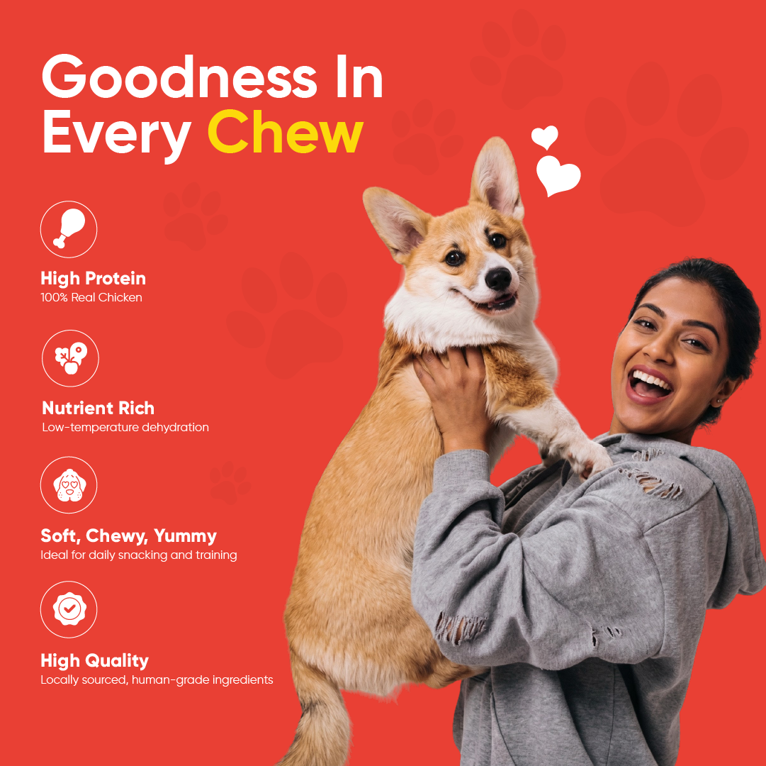 Petmax PawStix Real Chicken & Milk - 100Gm